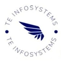 TE Infosystems logo - Similar company to Numynai