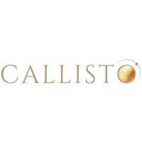 Callisto Talent Solutions logo - Similar company to Callisto