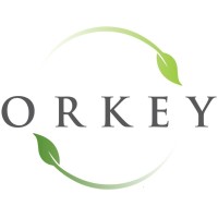 Orkey logo - Similar company to Baseq