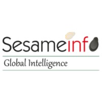 Sesame info logo - Similar company to Rudra International - Ahmedabad, India