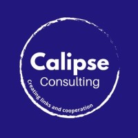 Calipse Consulting logo - Similar company to Swiss Statistical Design And Innovation (Swiss-Sdi)