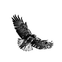 Hawk Isolutions Group Inc logo - Similar company to Triella