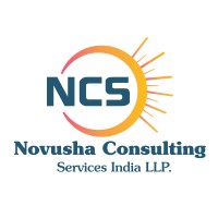 Novusha Consulting Services India LLP logo - Similar company to Next Wavee