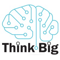 ThinkBig! logo - Similar company to Nat Egypt