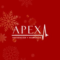 APEX - Prevención y Respuesta logo - Similar company to Hi Solutions