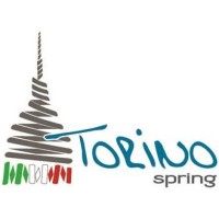 Torino Spring S.r.l. logo - Similar company to Itafix Srl