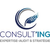 Consult'ING logo - Similar company to Flash Compta