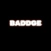 Baddge electronics logo - Similar company to Sparse Technology
