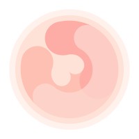 HiMommy logo - Similar company to Pushpushgo