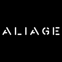 ALIAGE CONSULTING logo - Similar company to Aliage - Conseil & Support Rh/ Organisation Et Performance Industrielle