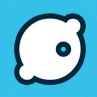 Rolli Digital, Inc.