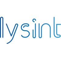 Lysint logo - Similar company to Cks Consulting