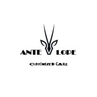 Antelope Customized Cars logo - Similar company to Techmath Engineering