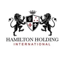 Hamilton Holding International Ltd logo - Similar company to Sol&Fin S.I.M. S.P.A.