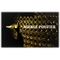 AGENCE POUTIER logo - Similar company to Dst - Agence Commerciale