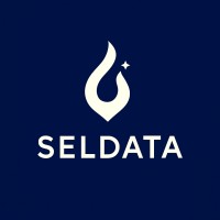 SelData Consulting logo - Similar company to Pimenton