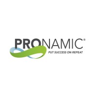 MyPronamic logo - Similar company to Syde Multiservice Holding
