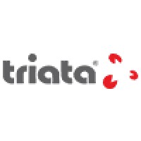 Triata Mídia E Negócios