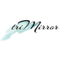 triMirror logo - Similar company to Rushdb