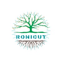 Ronicut IT logo - Similar company to Rankister