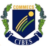 Commecs Institute of Business and Emerging Sciences logo - Similar company to National Institute Of Design & Analysis (Nida)