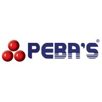 PEBASUR SA DE CV logo - Similar company to Macero