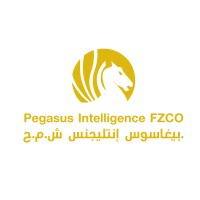 Pegasus Intelligence FZCO logo - Similar company to Tesseract Intelligence