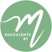 Succulents by M logo - Similar company to Plants.Com