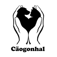 Cãogonhal logo - Similar company to Gesso Real