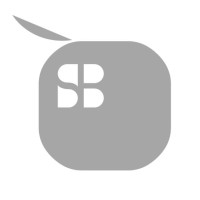 SILICON BOX logo - Similar company to Eon Solutions