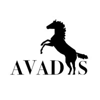 AVADIIS logo - Similar company to Survpal Engineering