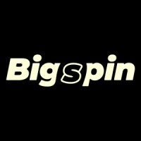 Bigspin AI logo - Similar company to Boytwigg