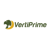 Vertiprime Government Services