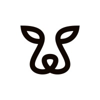 Cheeta