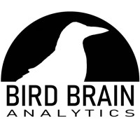 Bird Brain Analytics