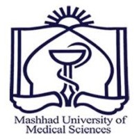 Medical Informatics at MUMS logo - Similar company to Lawa.Ai