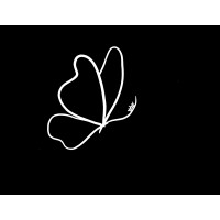 Butterfly Chief Films LLC logo - Similar company to North Carolina School Of Science And Mathematics