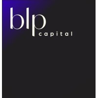 BLP CAPITAL logo - Similar company to B2V Crypto