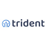 Trident Global Consulting LLC logo - Similar company to Wplus (Wplus.Ca)