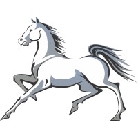 Mustang Assets logo - Similar company to Suzette Collection