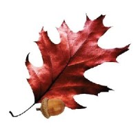 ForestryUSA Website logo - Similar company to F4 Tech