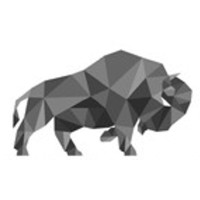 Bison Energy Report logo - Similar company to Energy Report