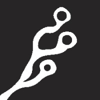 Crecera Digital logo - Similar company to Audyx
