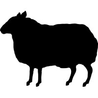 BBH India logo - Similar company to Qi Studio
