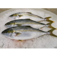 AQUA MANAGEMENT TECHNOLOGIES logo - Similar company to Kingfish Enterprises