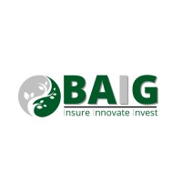 B.A.I.G. Llc