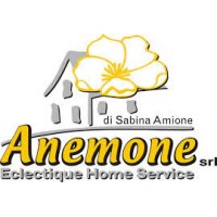 Anemone Eclectique Home Service s.r.l. logo - Similar company to Spaggiari Automazione