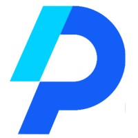 Panzi Digital Agency logo - Similar company to Km Digital