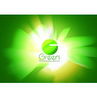 Green Professional Service PLC logo - Similar company to Sart Consult