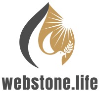 Webstone logo - Similar company to Webstone Solutions